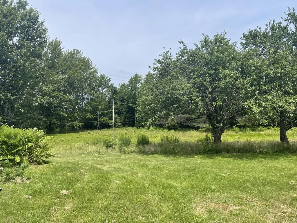 69 Roque Bluffs Road Jonesboro ME 04648