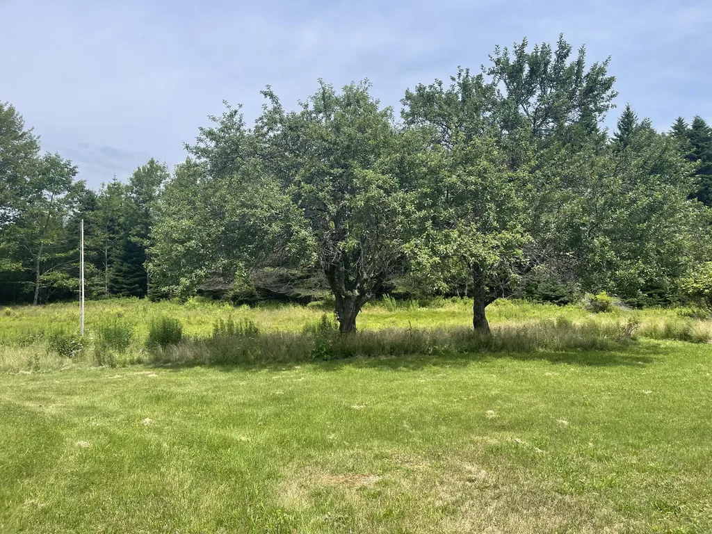 69 Roque Bluffs Road Jonesboro ME 04648