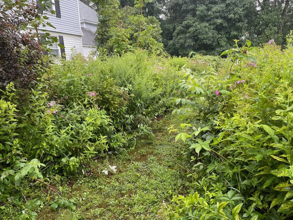 34 West Street Newport ME 04953