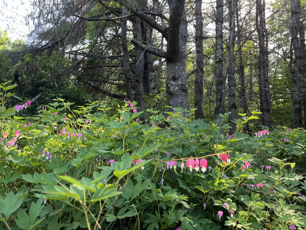 51 E Sandy River Road Mercer ME 04957