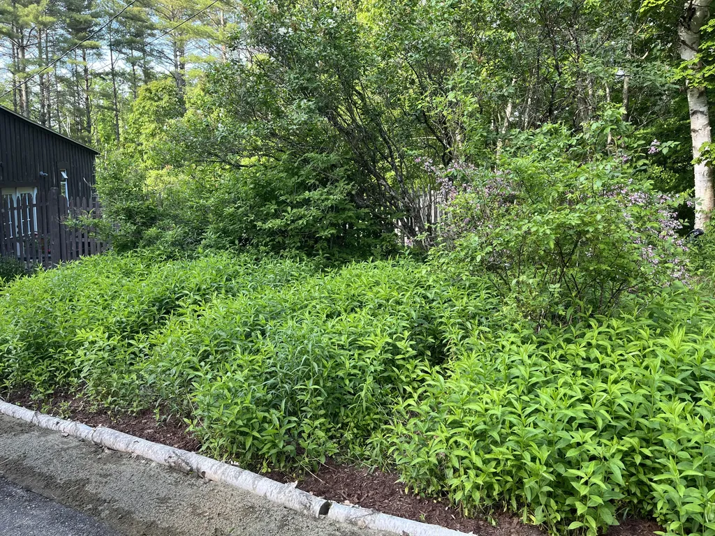 51 E Sandy River Road Mercer ME 04957