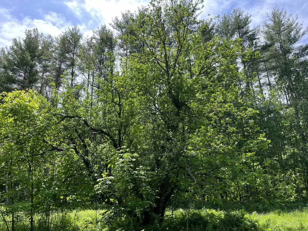 51 E Sandy River Road Mercer ME 04957