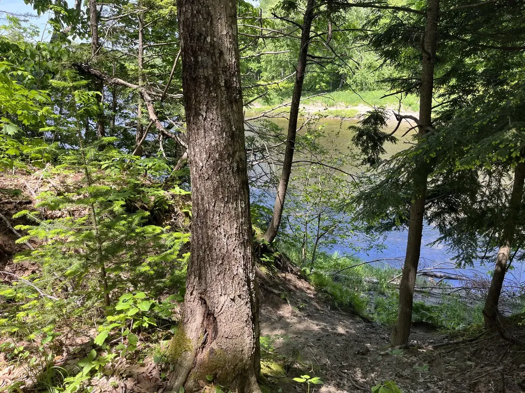 51 E Sandy River Road Mercer ME 04957