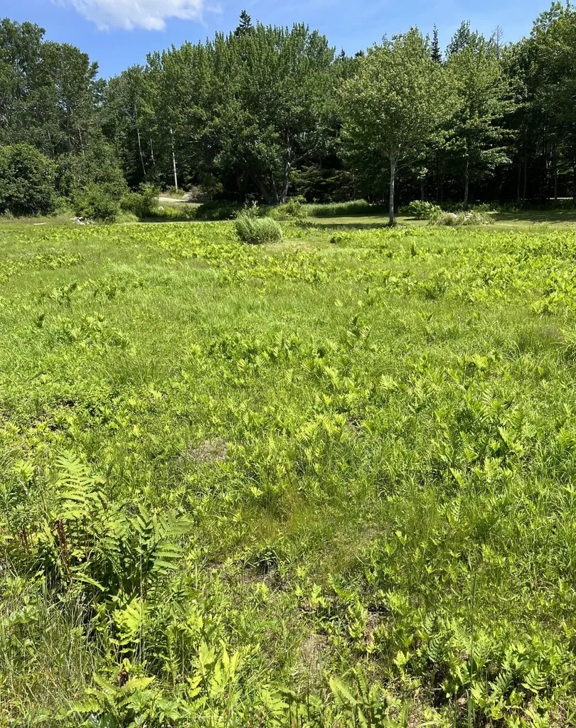 821 Tremont Road Tremont ME 04674