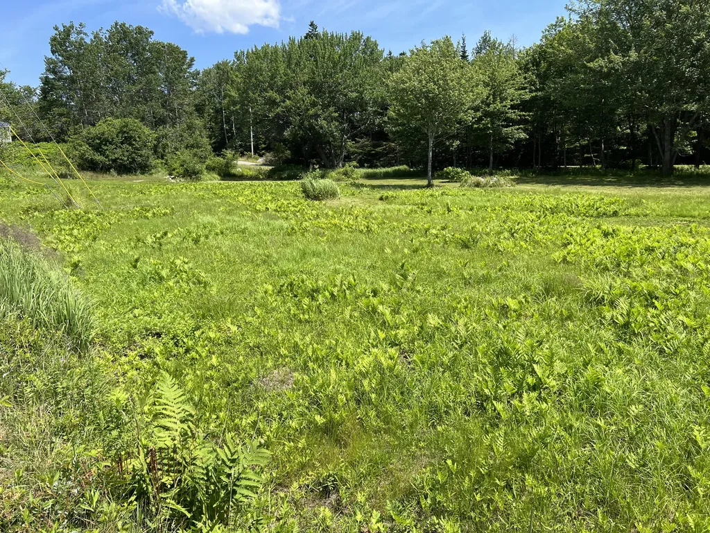 821 Tremont Road Tremont ME 04674