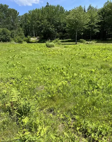 821 Tremont Road Tremont ME 04674