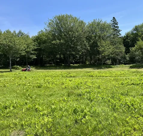 821 Tremont Road Tremont ME 04674