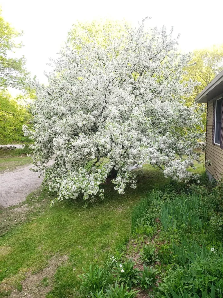 502 Johnson Hill Road Poland ME 04274