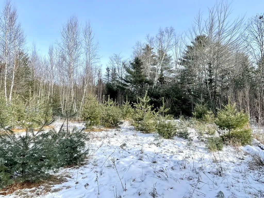 422 Fuller Road Carmel ME 04419