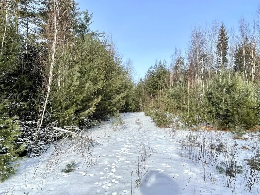 422 Fuller Road Carmel ME 04419