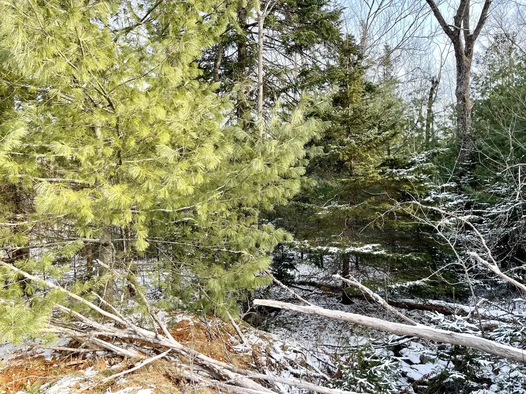 422 Fuller Road Carmel ME 04419