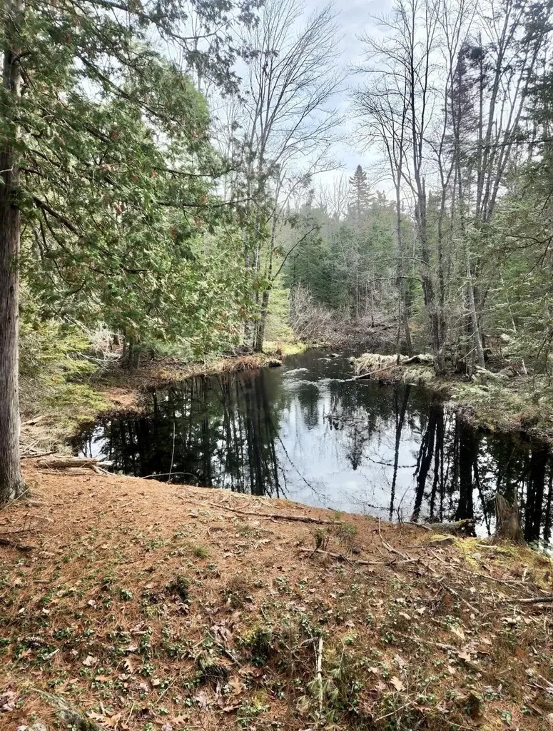 422 Fuller Road Carmel ME 04419