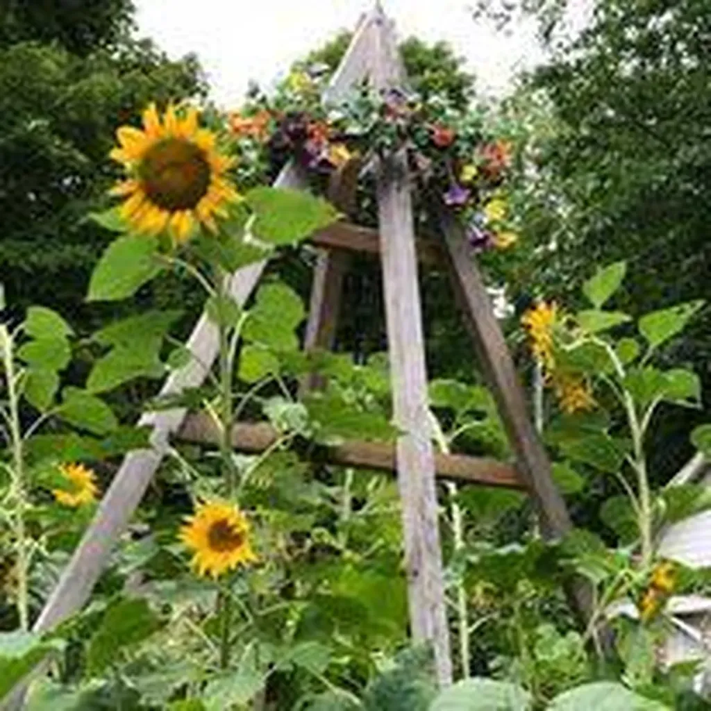3 Moulton Hill Road Sebec ME 04481