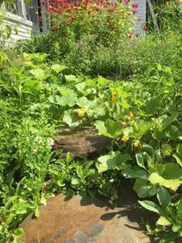 3 Moulton Hill Road Sebec ME 04481