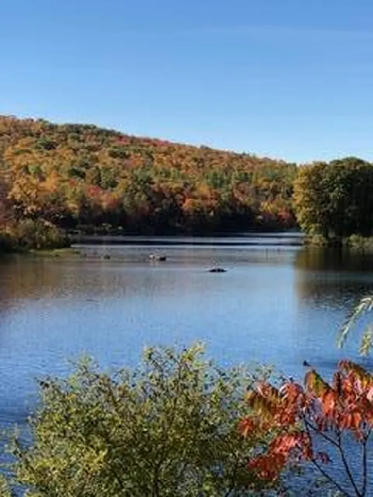 3 Moulton Hill Road Sebec ME 04481