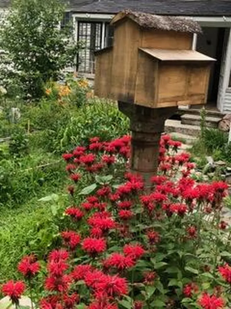 3 Moulton Hill Road Sebec ME 04481