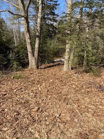 Lot 1 Sandy Shores Road Warren ME 04864