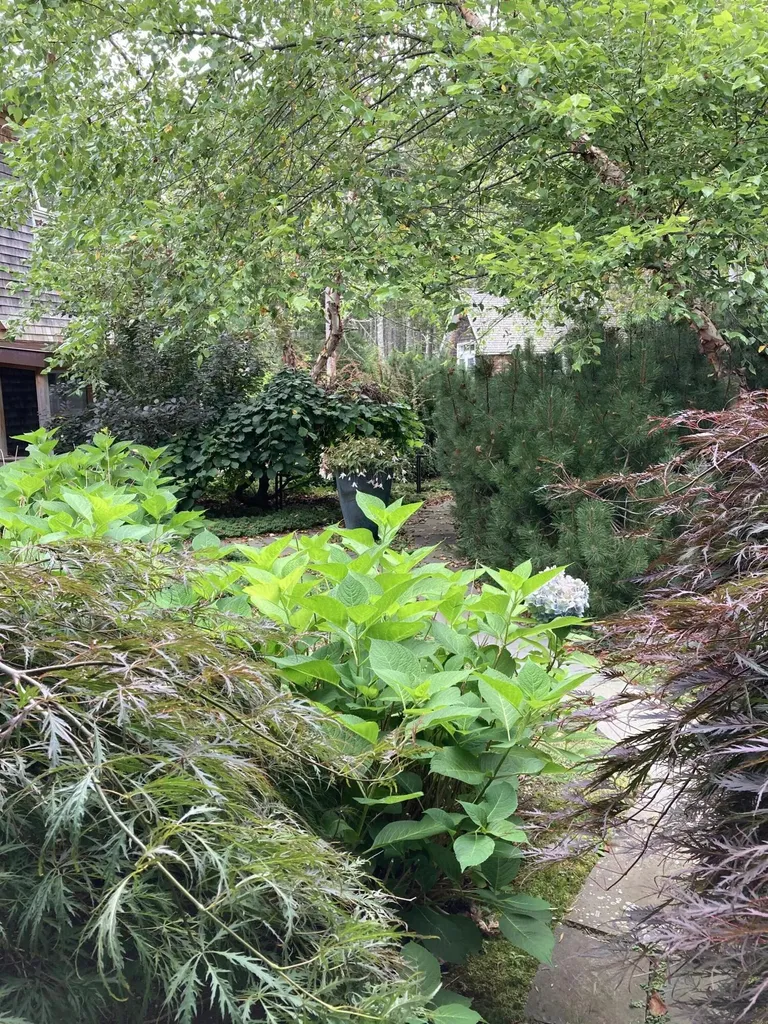 51 Fox Lane Brooklin ME 04616
