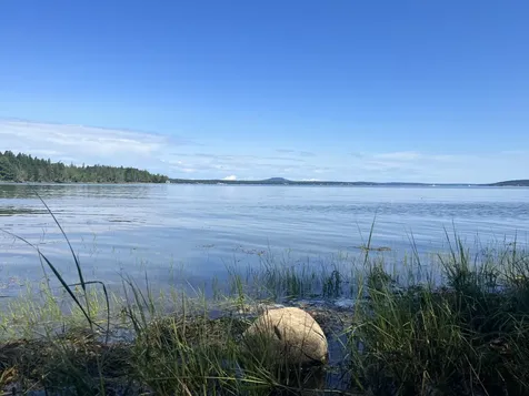 325 Harriman Point Road Brooklin ME 04616