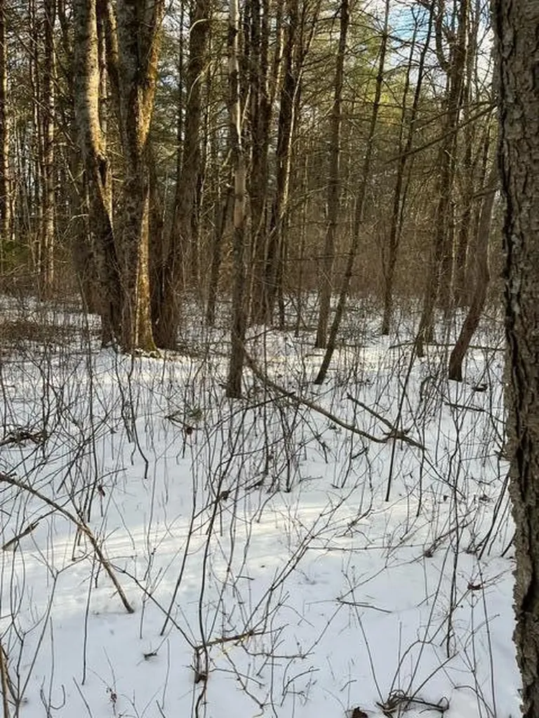 Lots 1 & 2 Eden Farm Road Pownal ME 04069