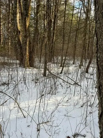 Lots 1 & 2 Eden Farm Road Pownal ME 04069