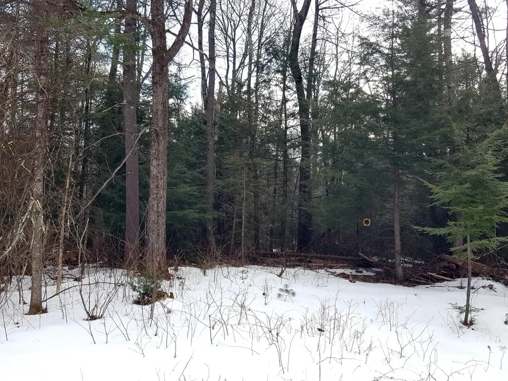 53 Harding Road Gorham ME 04038