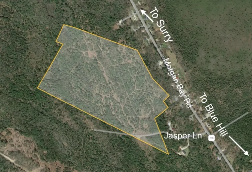 Lot 8 Jasper Lane Surry ME 04684