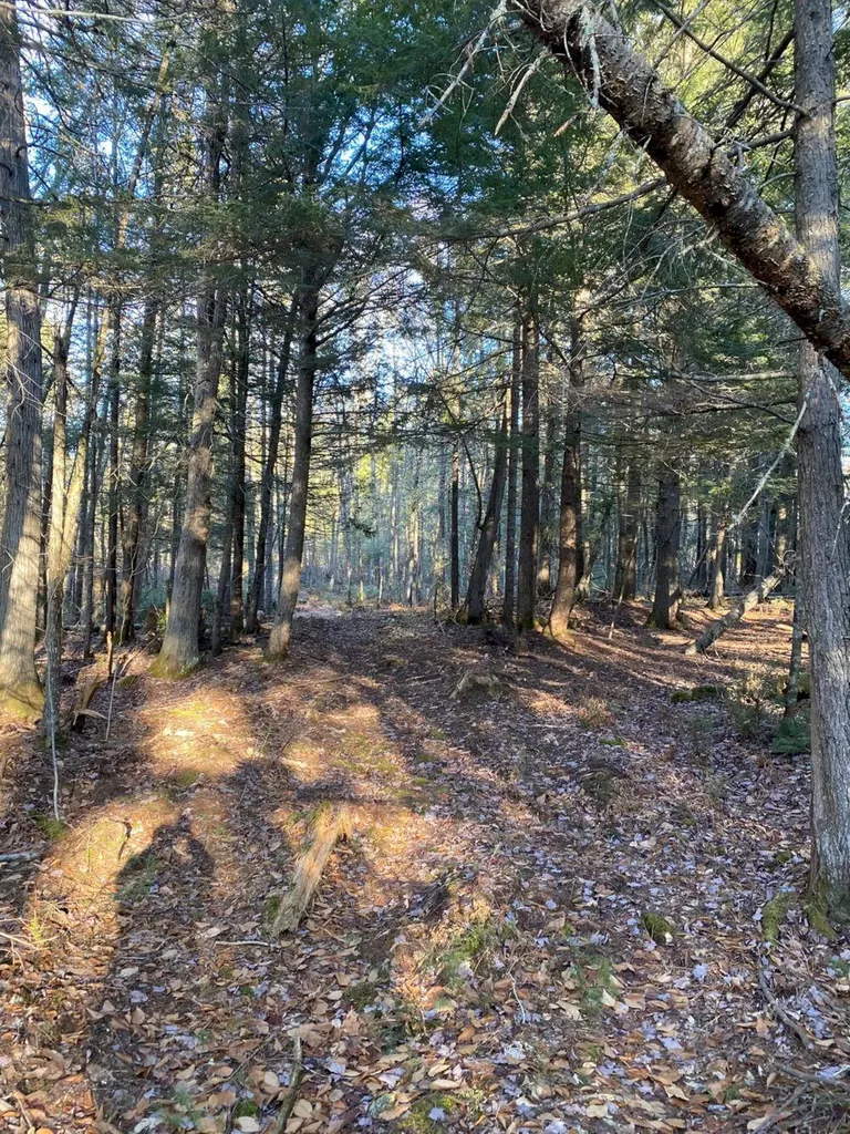 P/o M2 L31 Walker Road Madison ME 04950