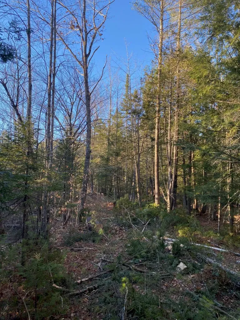 P/o M2 L31 Walker Road Madison ME 04950