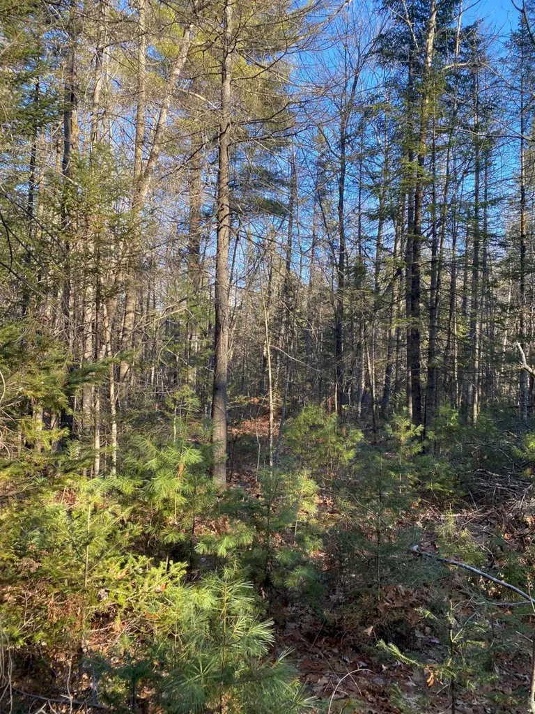 P/o M2 L31 Walker Road Madison ME 04950