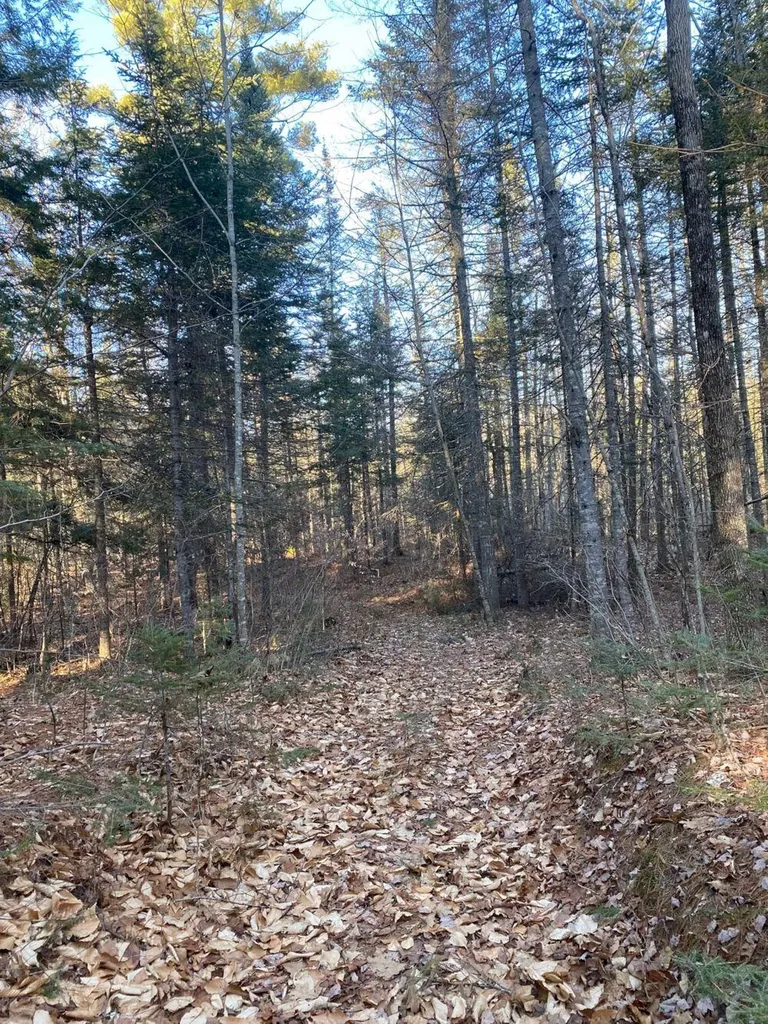 P/o M2 L31 Walker Road Madison ME 04950