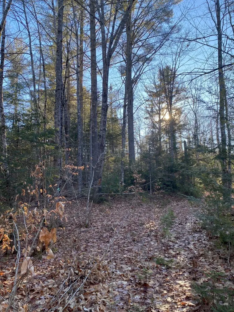 P/o M2 L31 Walker Road Madison ME 04950