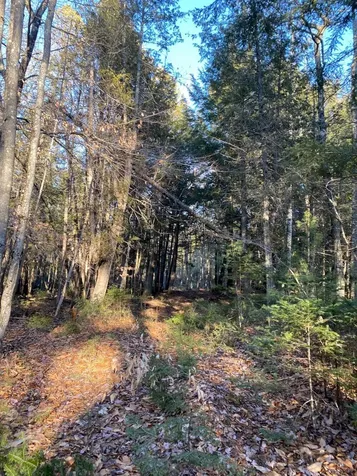 P/o M2 L31 Walker Road Madison ME 04950