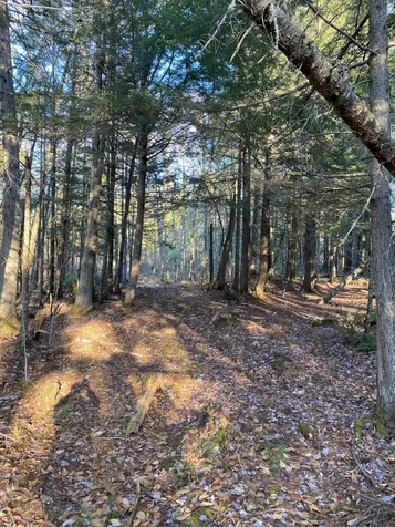 P/o M2 L31 Walker Road Madison ME 04950