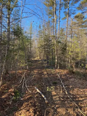 P/o M2 L31 Walker Road Madison ME 04950
