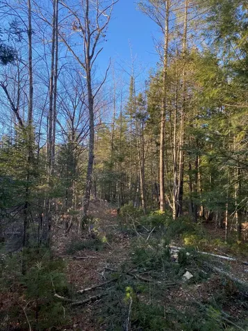 P/o M2 L31 Walker Road Madison ME 04950