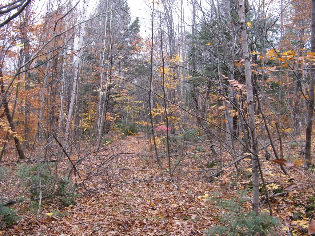 Map 04 Lot 05 Greenwood Road Peru ME 04290