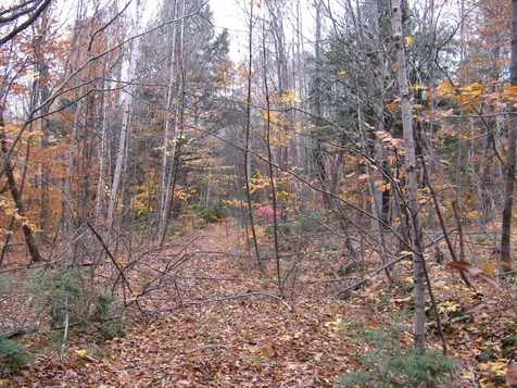 Map 04 Lot 05 Greenwood Road Peru ME 04290