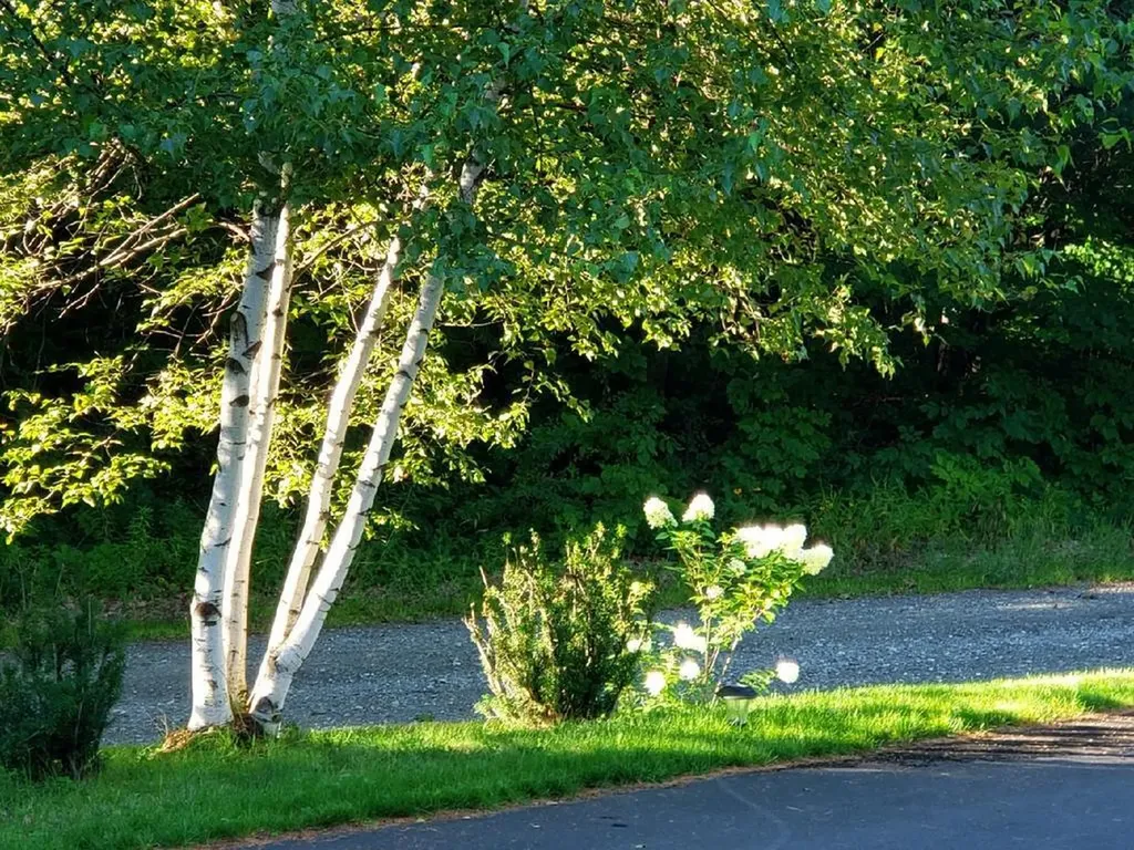 116 Cherrywood Lane Farmington ME 04938