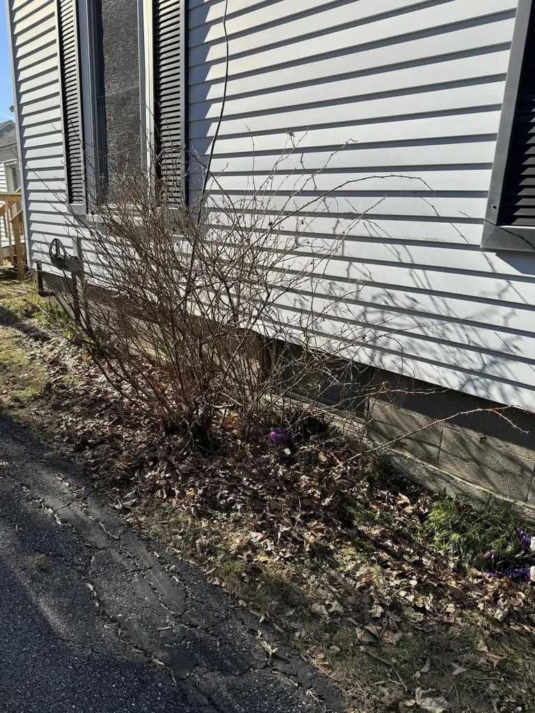 126 Elm Street Bangor ME 04401