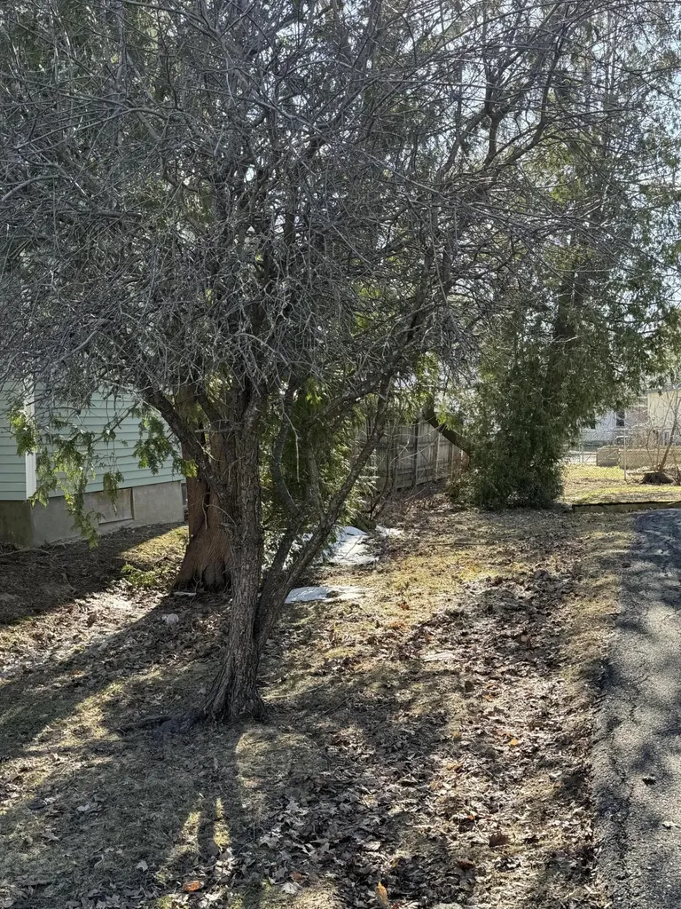 126 Elm Street Bangor ME 04401