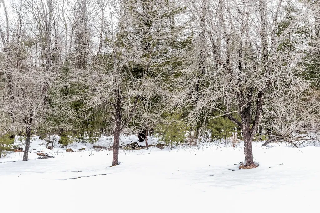 82 Harrison Road Norway ME 04268