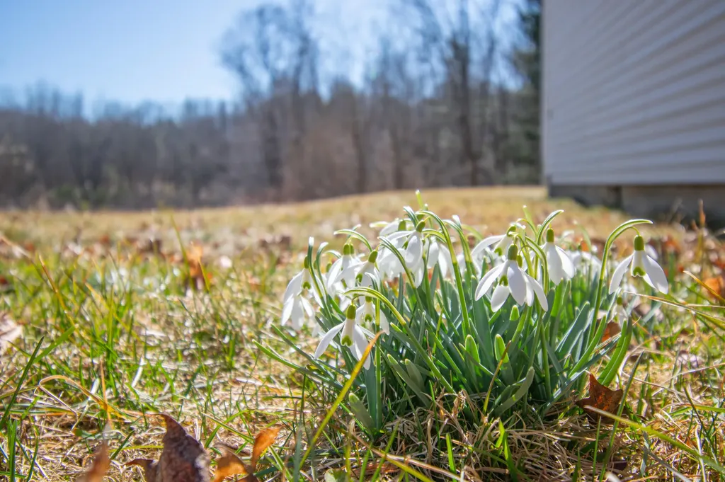 18 Ludwig Road Dresden ME 04342