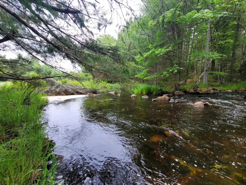 Tbd Grindleville Road Blue Hill ME 04614