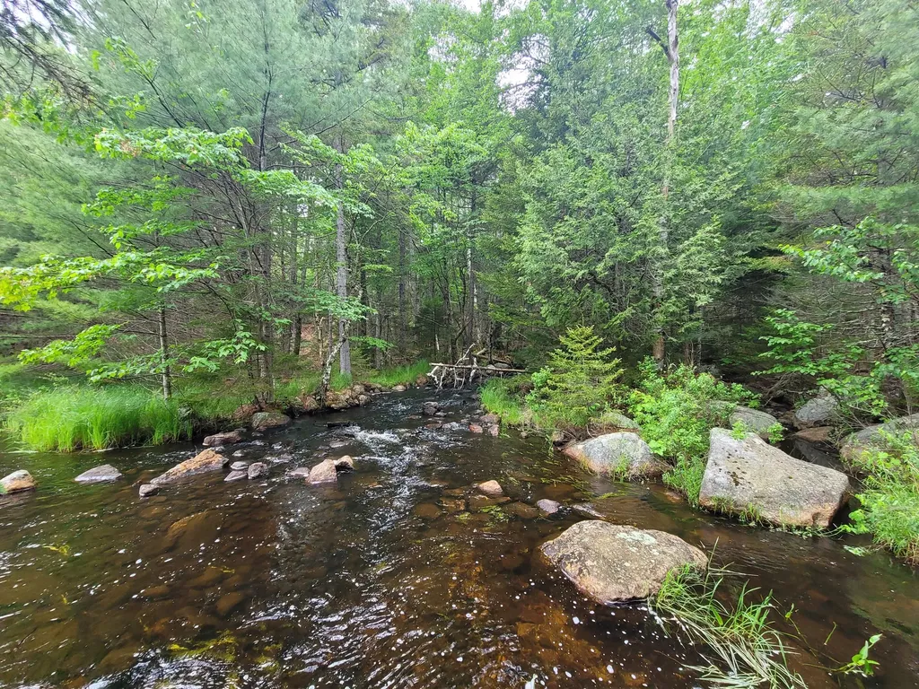 Tbd Grindleville Road Blue Hill ME 04614