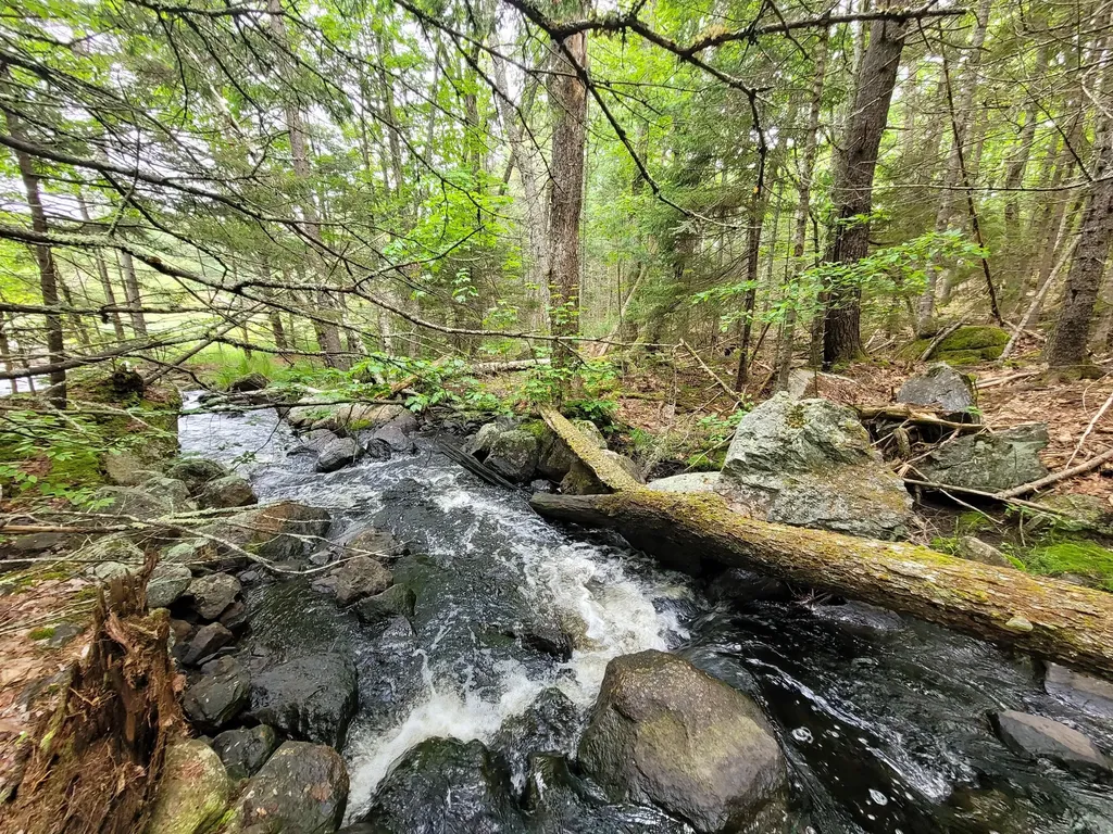 Tbd Grindleville Road Blue Hill ME 04614