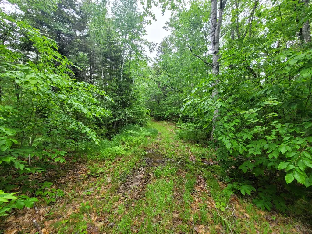 Tbd Grindleville Road Blue Hill ME 04614