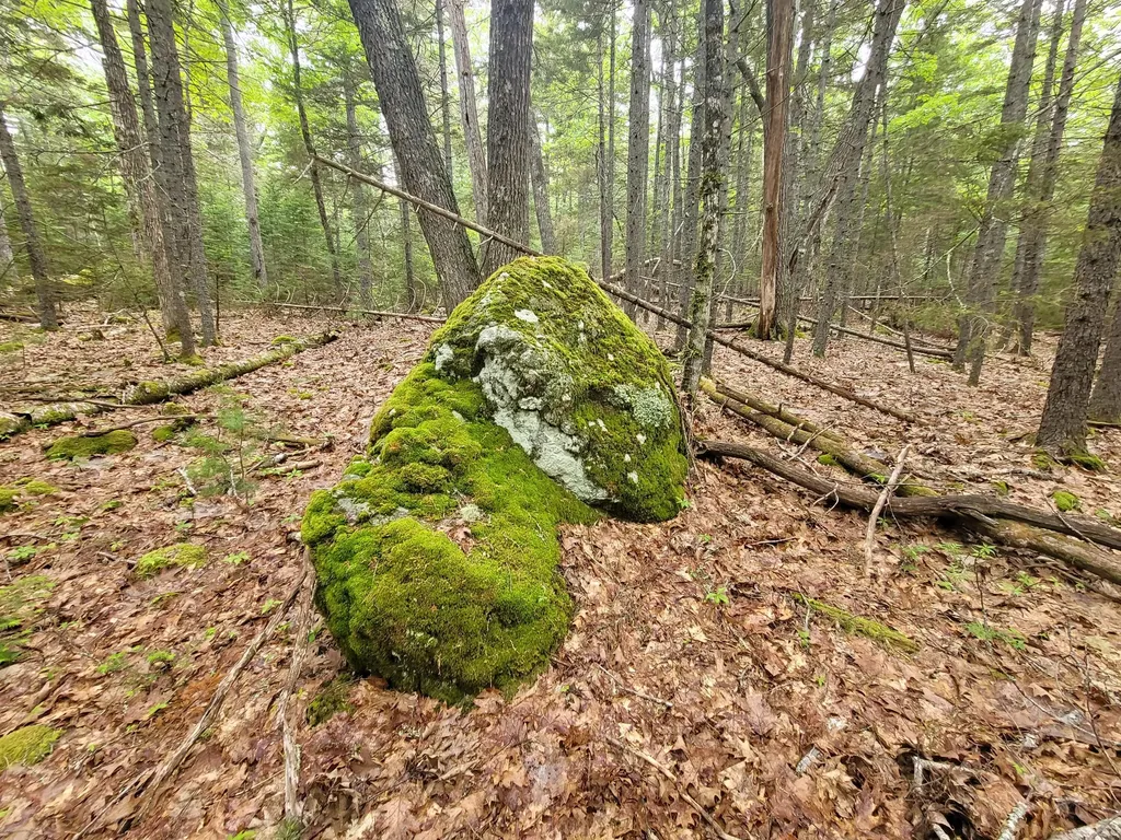Tbd Grindleville Road Blue Hill ME 04614
