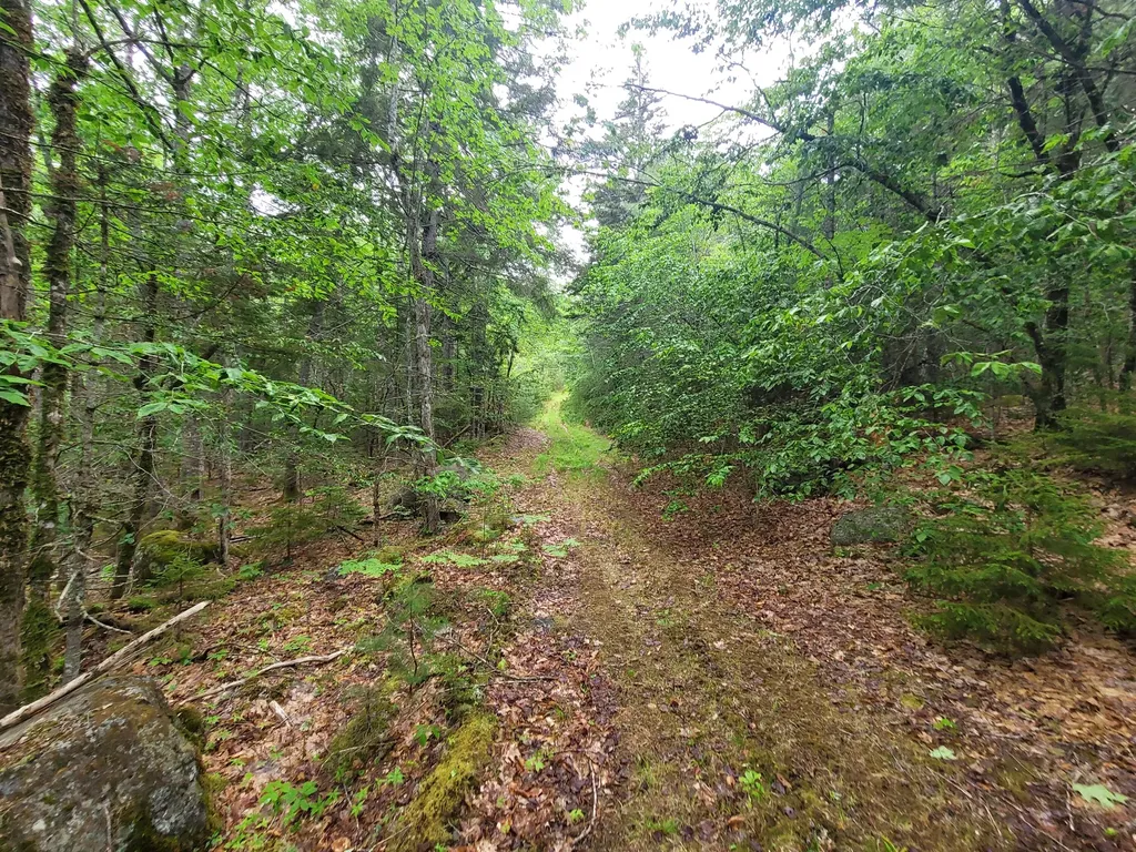 Tbd Grindleville Road Blue Hill ME 04614