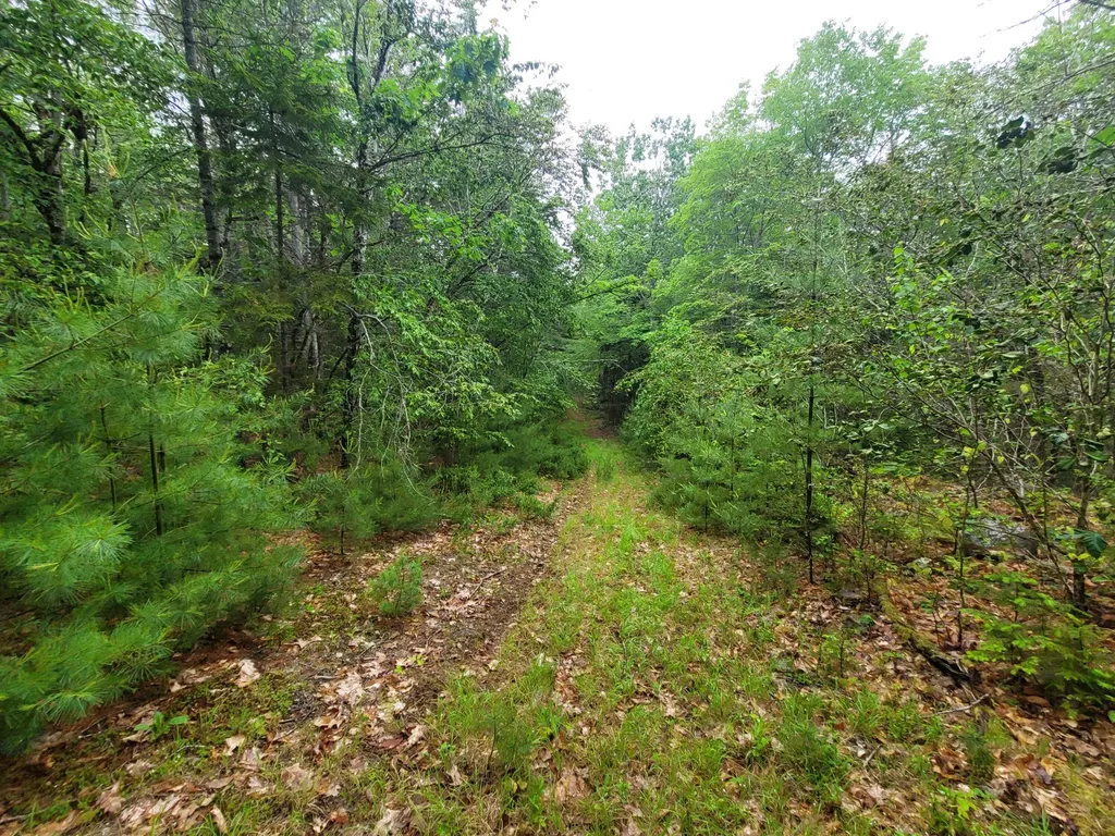 Tbd Grindleville Road Blue Hill ME 04614